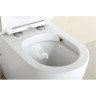 Унитаз BELBAGNO BB513CH
