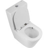 Унитаз-компакт безободковый BELBAGNO BB2149CP-TOR/BB2149T/BB870SC