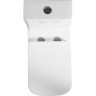 Унитаз-моноблок BELBAGNO NEON с сиденьем дюропласт soft close, P-trap BB8617CPR-MN/SC